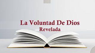 La Voluntad De Dios Revelada