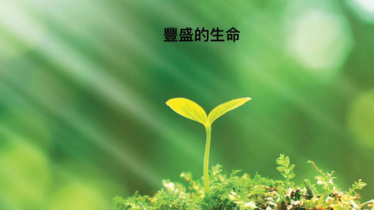 豐盛的生命