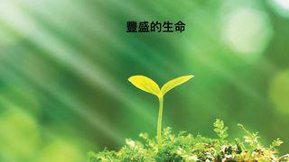 豐盛的生命