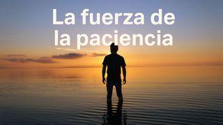 La Fuerza De La Paciencia