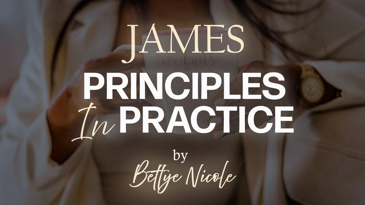 James: Principles in Practice