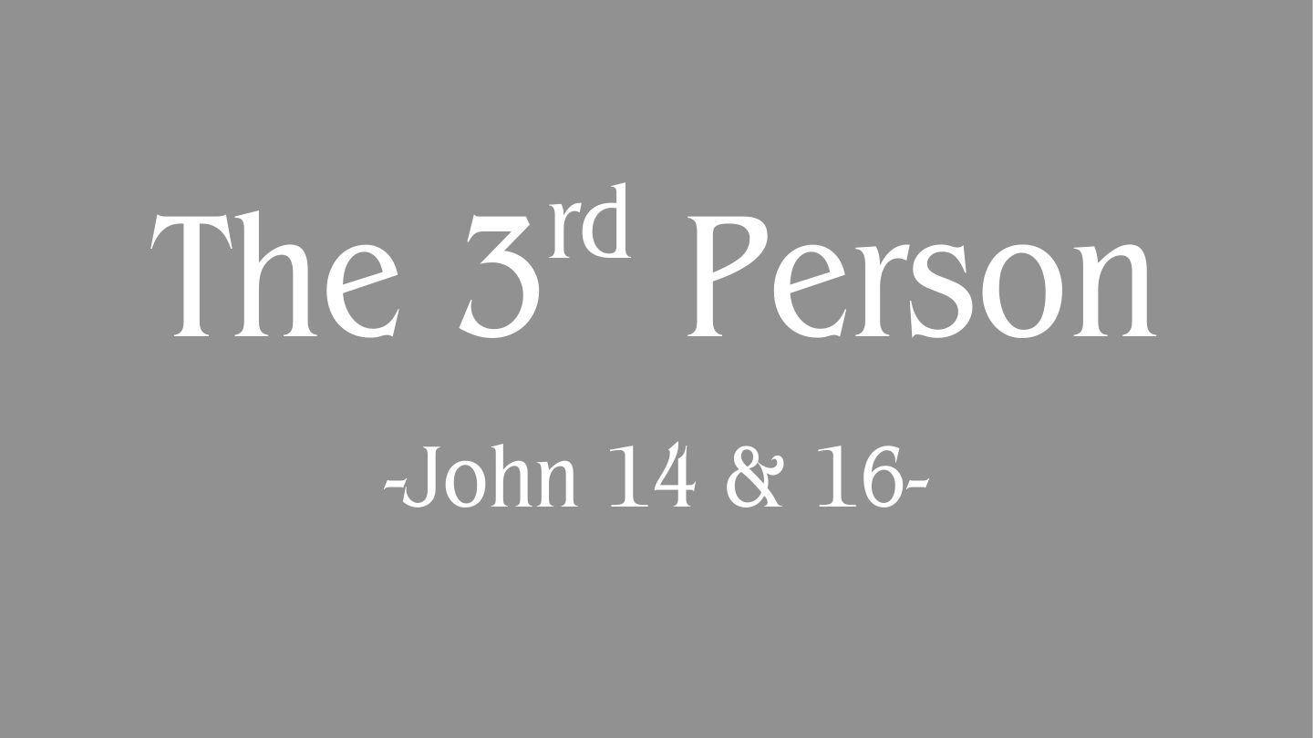 3rd Person John 16:16 King James Version
