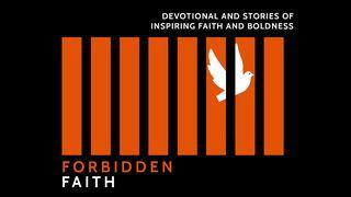 Forbidden Faith