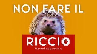 Non Fare Il Riccio