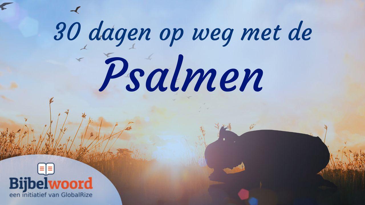 30 dagen op weg met de Psalmen