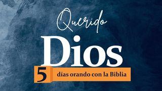 Querido Dios: 5 días orando con la Biblia
