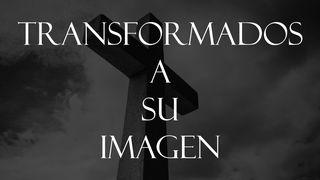 Transformados a su imagen