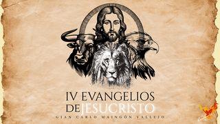 4 Evangelios De Jesucristo