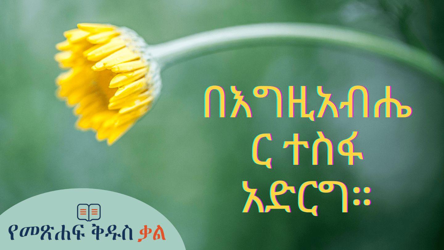 እግዚአብሔርን ተስፋ አድርግ። Римлян 5:5 Переклад. Ю. Попченка.