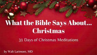 What the Bible Says About Christmas - 31 Days of Meditations