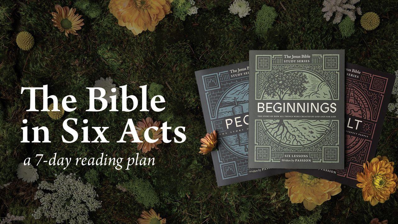 The Bible in Six Acts: The Jesus Bible Study Series