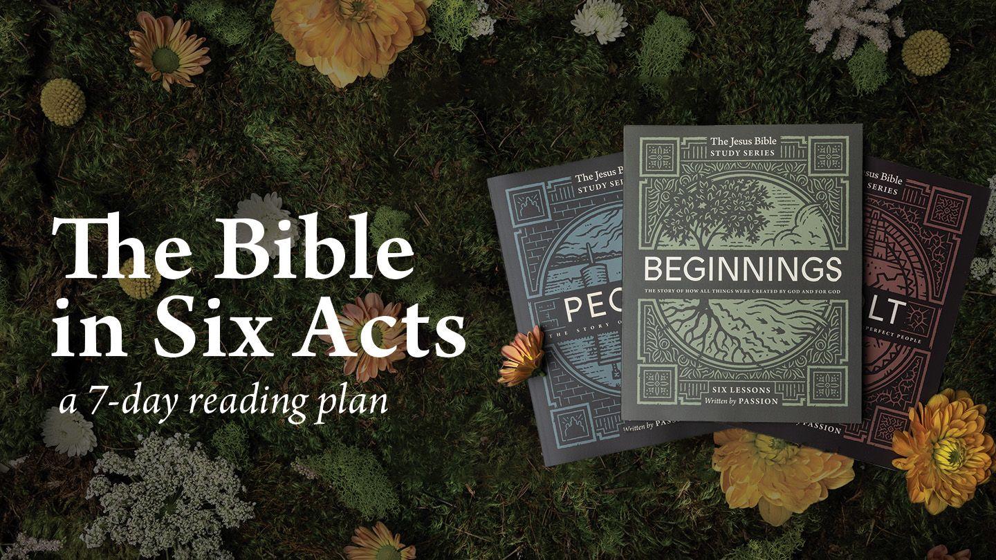 The Bible in Six Acts: The Jesus Bible Study Series
