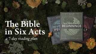 The Bible in Six Acts: The Jesus Bible Study Series