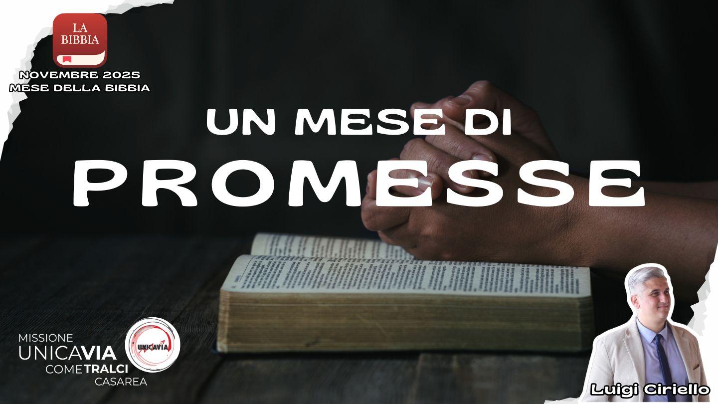 Un mese di promesse