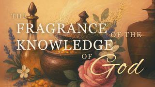 The Fragrance of His Knowledge
