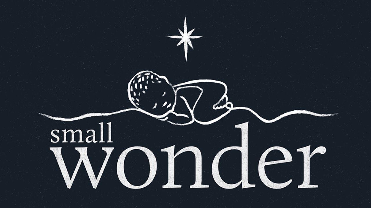 Small Wonder: A Christmas Devotional Journey
