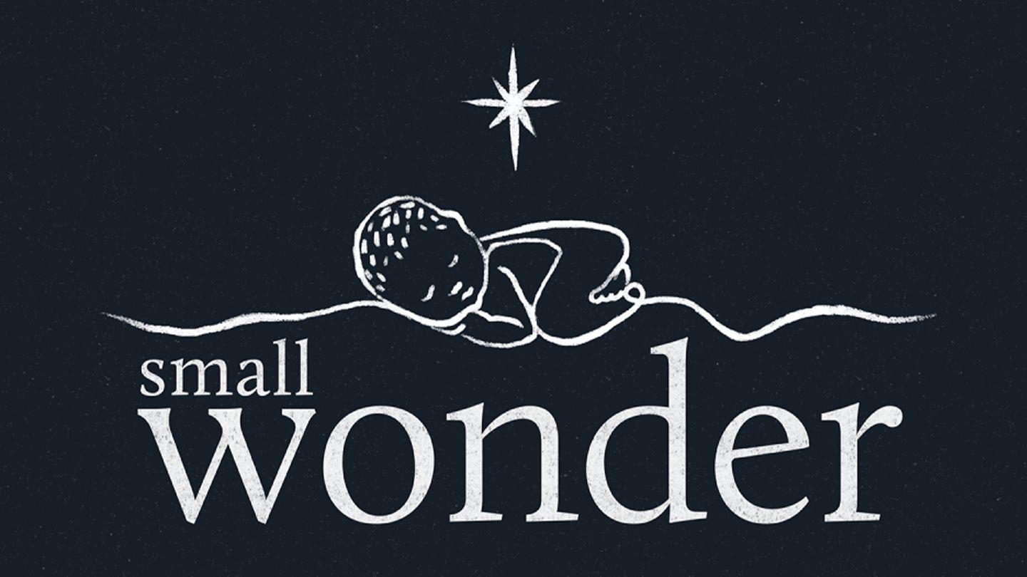 Small Wonder: A Christmas Devotional Journey Psalm 146:1-5 King James Version