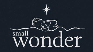 Small Wonder: A Christmas Devotional Journey