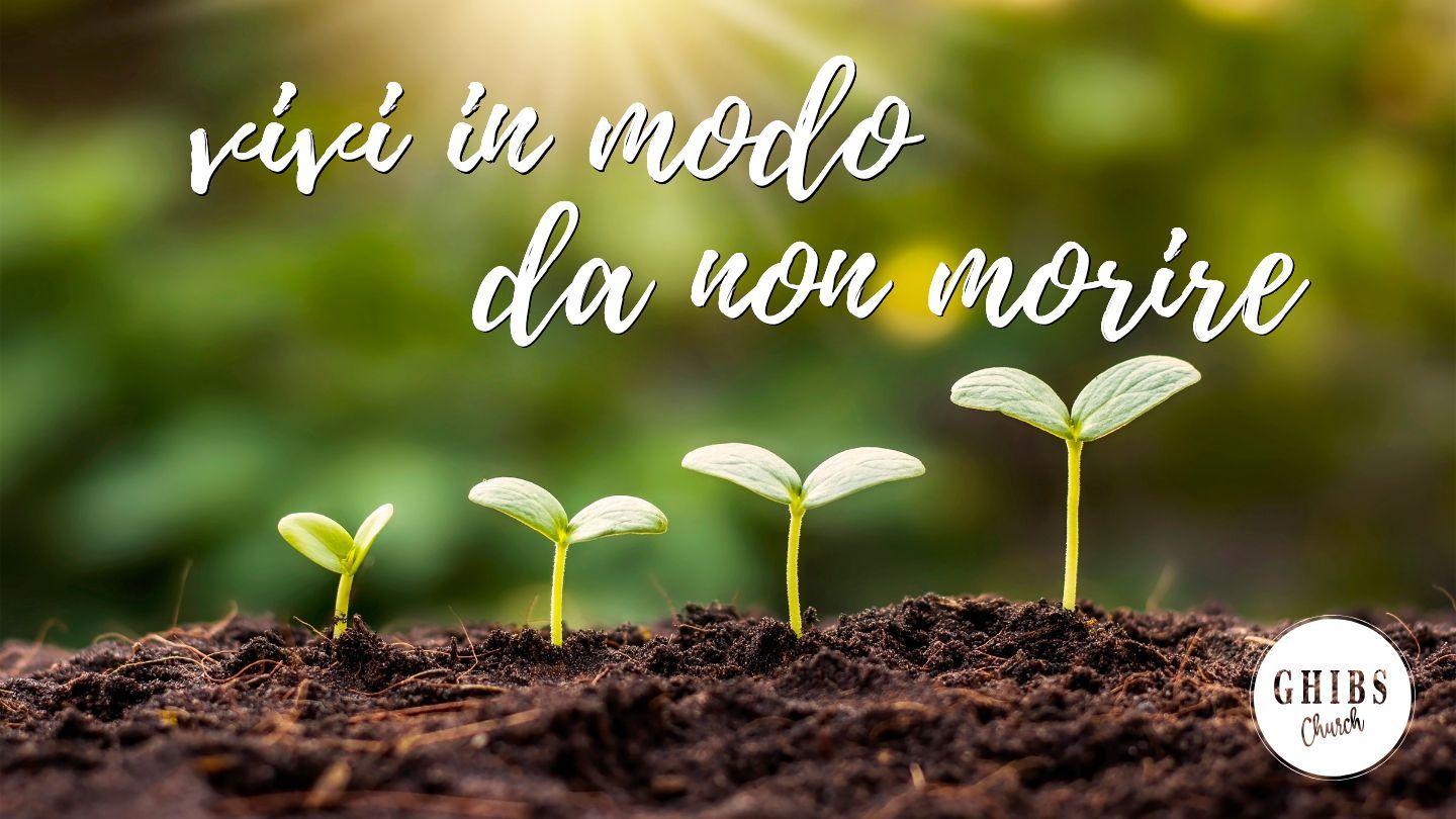 Vivi in Modo Da Non Morire Secondo libro dei Re 13:15 Nuova Riveduta 2006