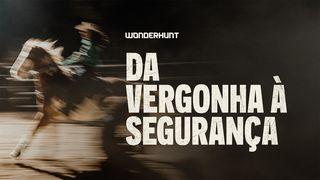 Da Vergonha À Segurança