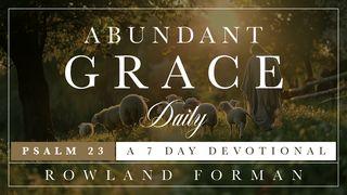 Abundant Grace Daily