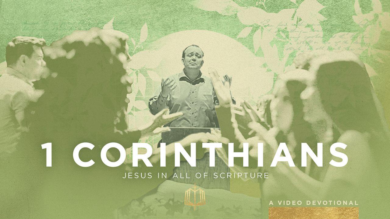 1 Corinthians: The Wisdom of the Cross | Video Devotional