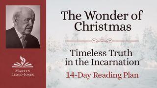The Wonder of Christmas: Timeless Truth in the Incarnation