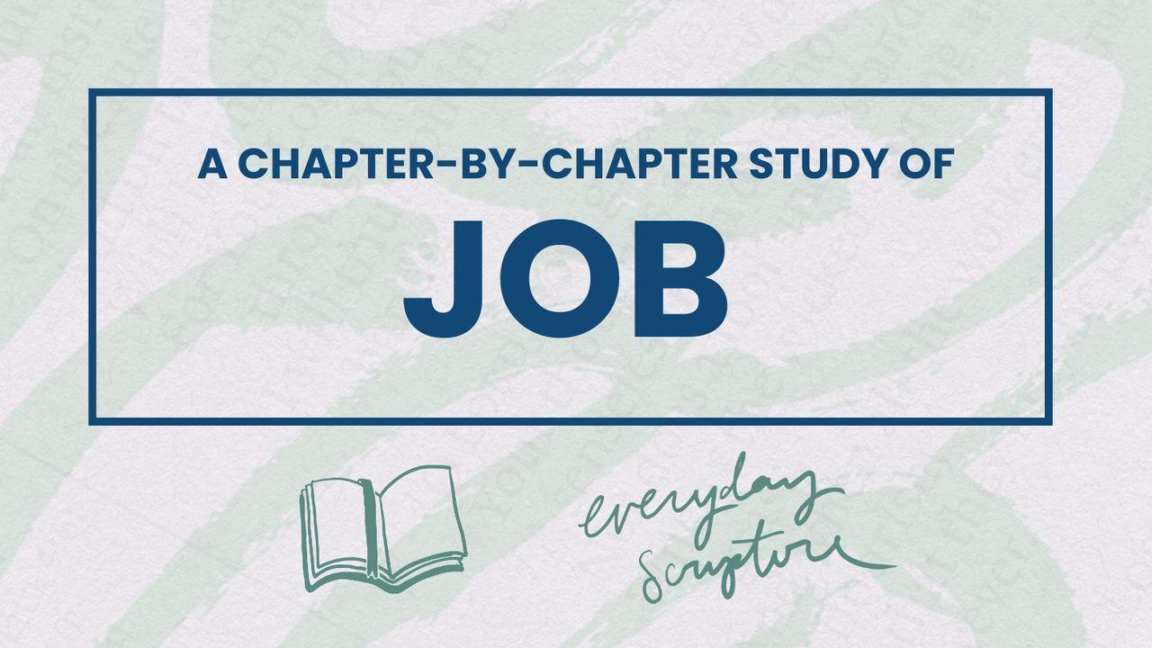 Job | Chapter Summaries + Study Questions