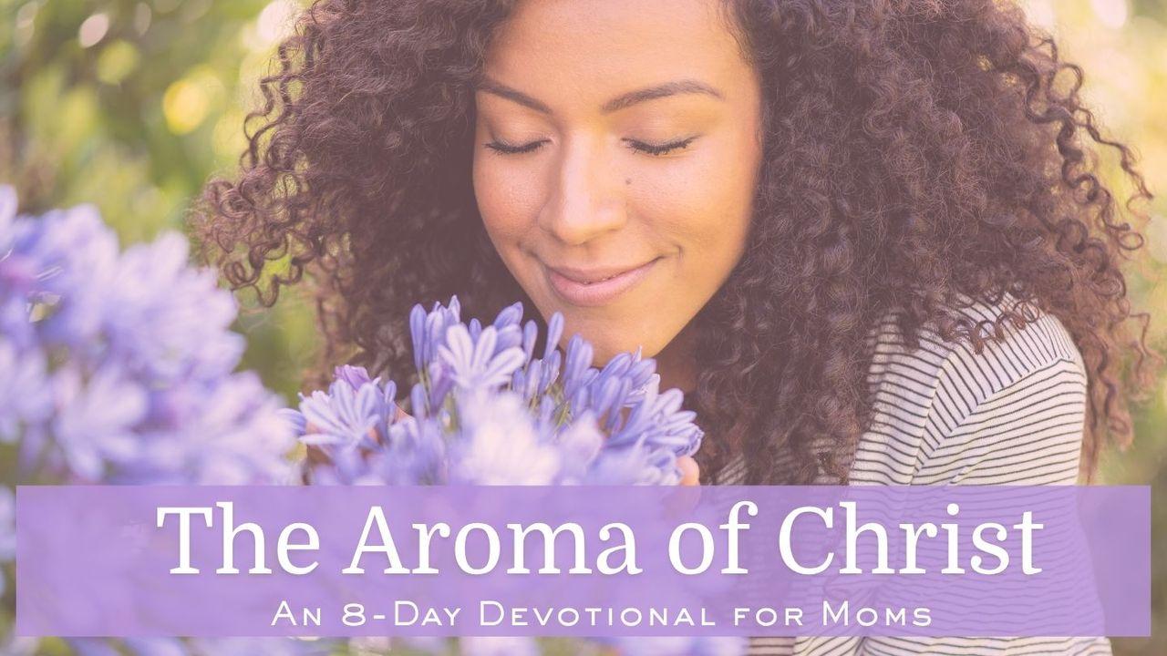 The Aroma of Christ
