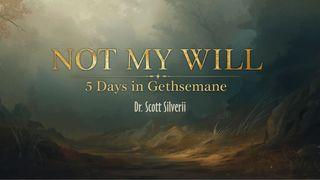 NOT MY WILL: 5 Days in Gethsemane