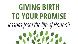 Giving Birth to Your Promise