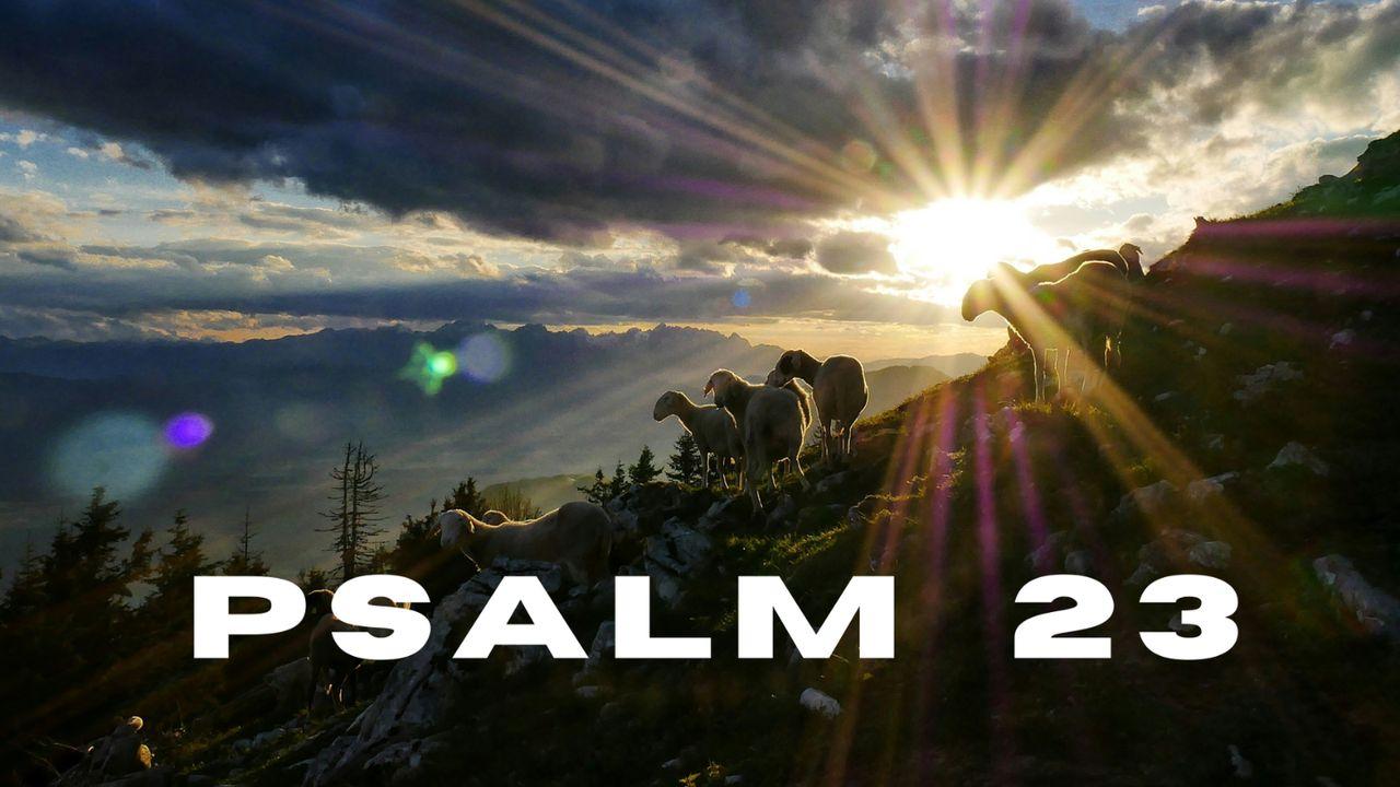 Psalm 23