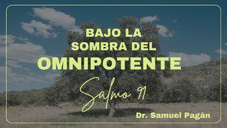 Bajo la Sombra del Omnipotente