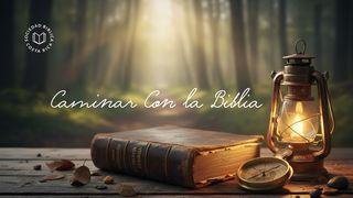 Caminar con la Biblia: luz guía y gozo