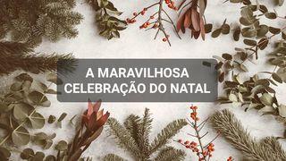 A Maravilhosa Celebração do Natal