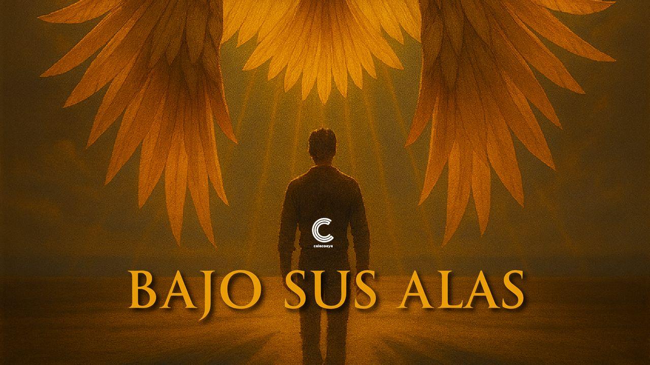 Bajo Sus Alas: Un Viaje De Fe, Protección Y Sanidad