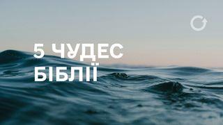 5 чудес Біблії