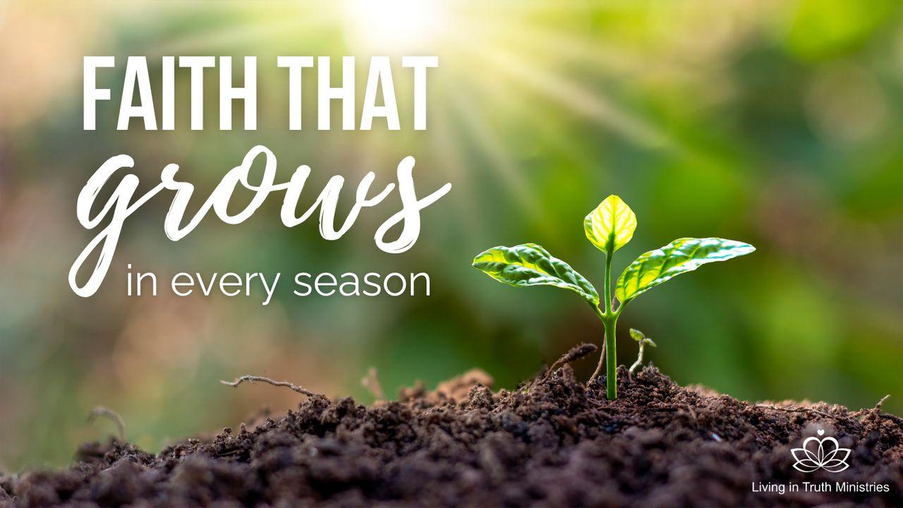 Faith That Grows in Every Season