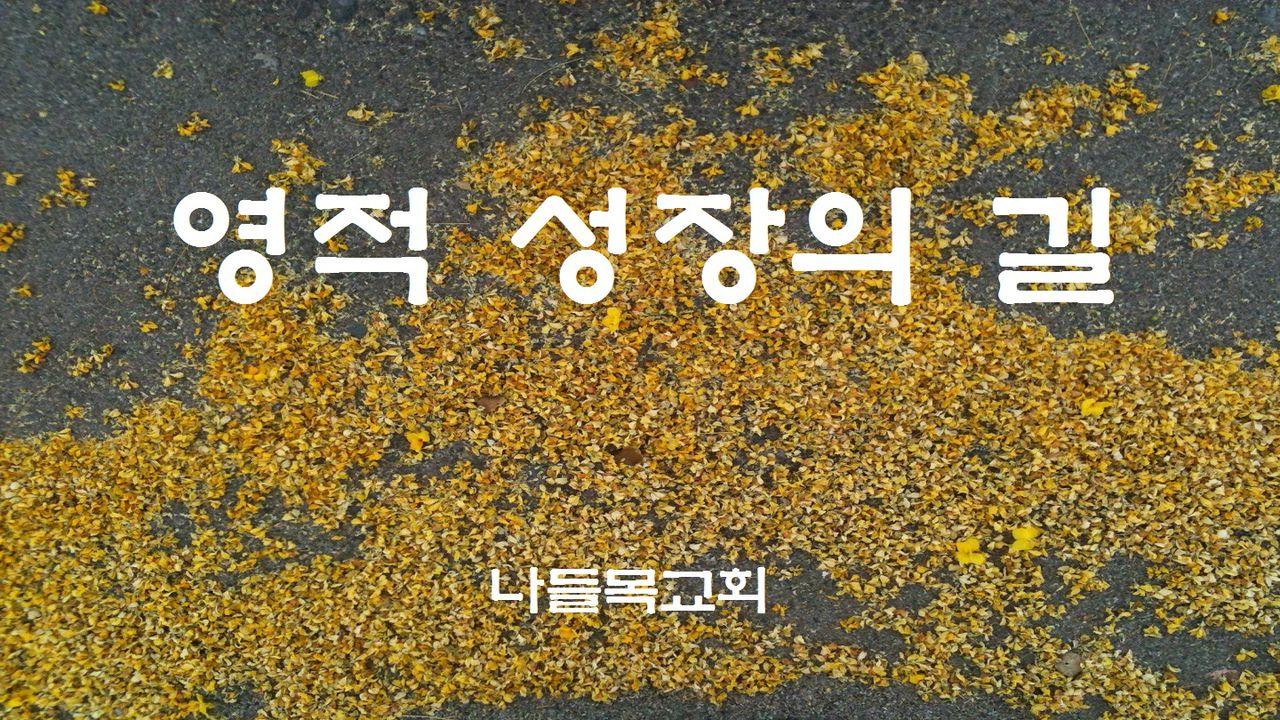 영적 성장의 길