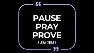 Pause, Pray, Prove