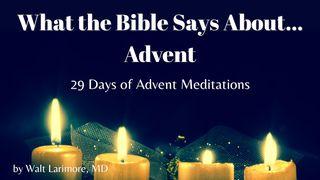 What the Bible Says About Advent - 29 Days of Advent Meditations
