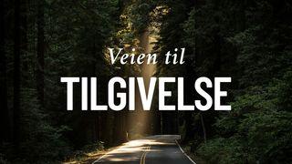 Veien Til Tilgivelse