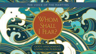 God's Assignment: Living on Purpose