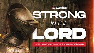 Strong in the Lord: A Men's Devotional