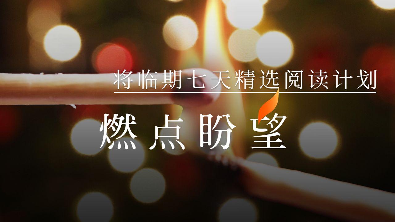 燃点盼望—将临期7天精选阅读计划