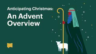 Anticipating Christmas: An Advent Overview