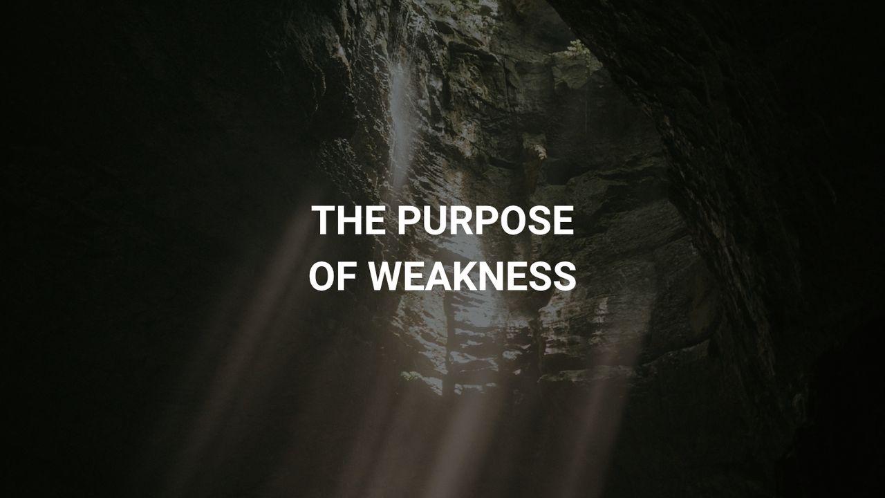 The Purpose of Weakness
