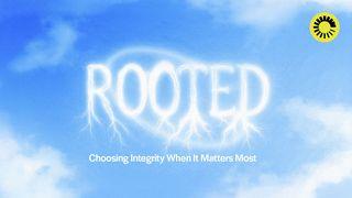 Rooted: Choosing Integrity When It Matters Most