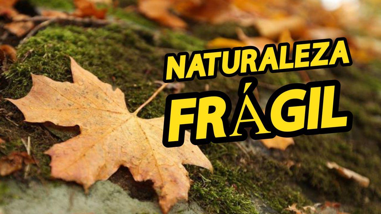 Naturaleza Frágil