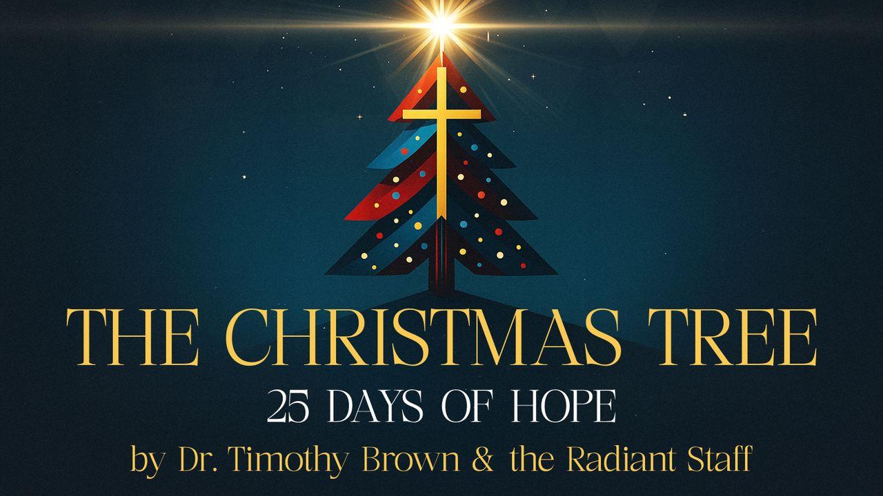 🎄✝️ the Christmas Tree: From the Cradle to the Cross ✨ 25 Days of Hope!